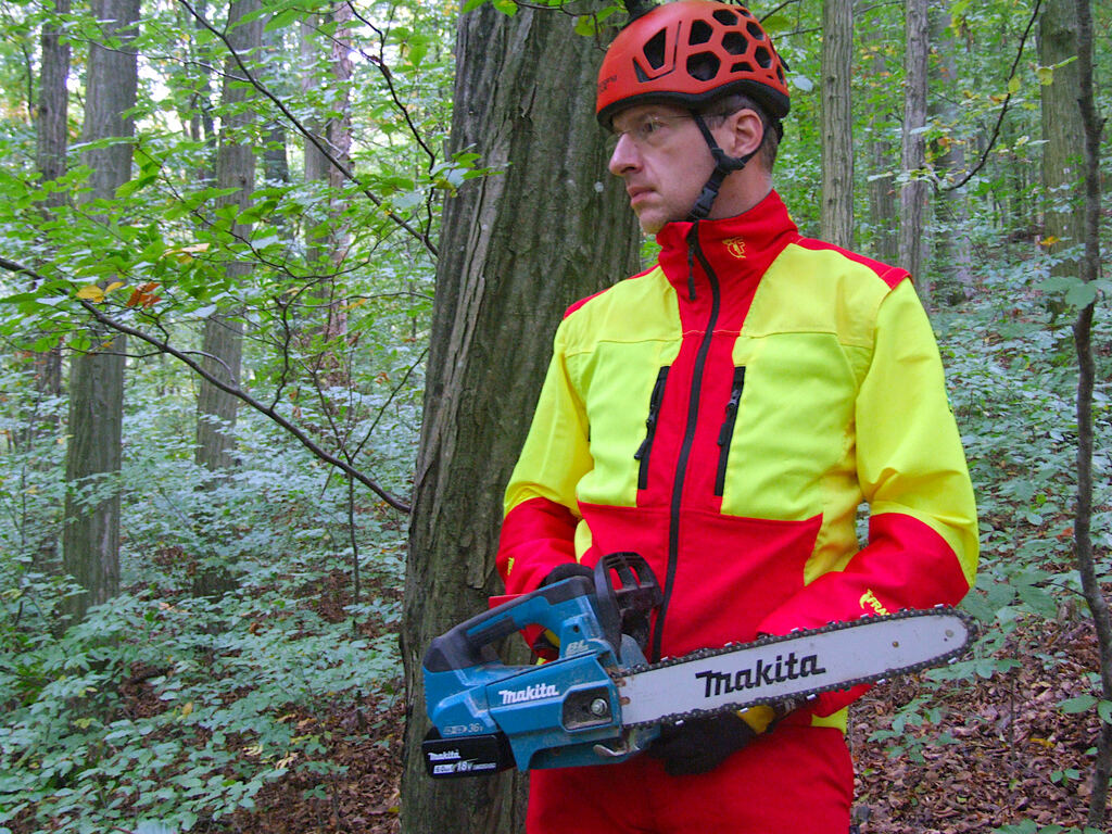 Arborist and tree removal specialist with chainsaw and climbing helmet, Košice region