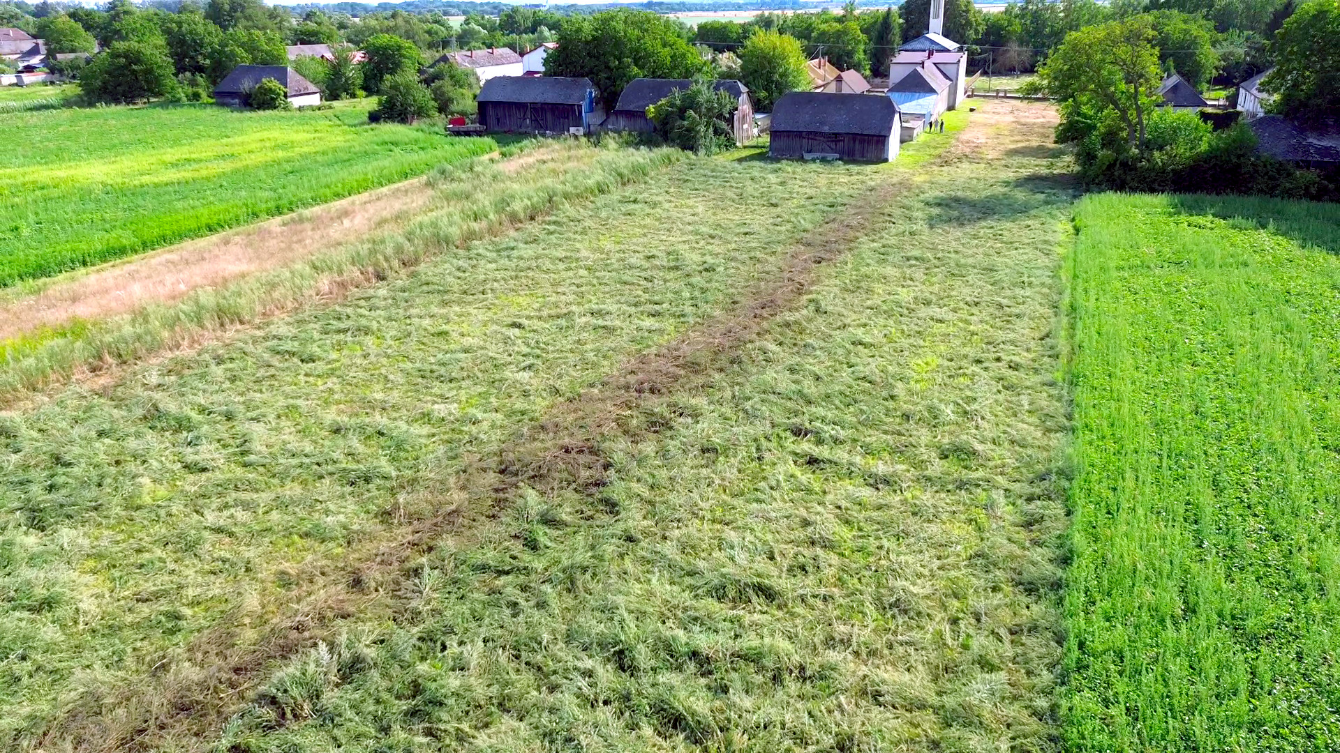 Rovnaký pozemok po pokosení krovinorezom