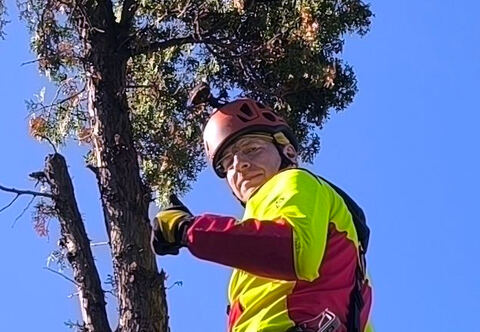 Jano – arborista a lezec na stromy