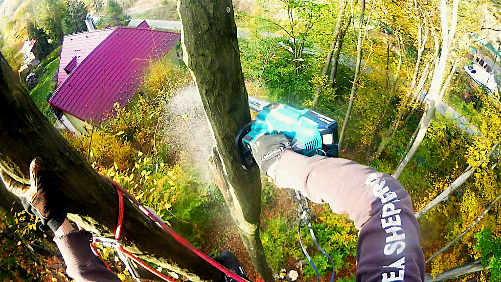 Postupný výrub stromu v blízkosti strechy z pohľadu arboristu v korune