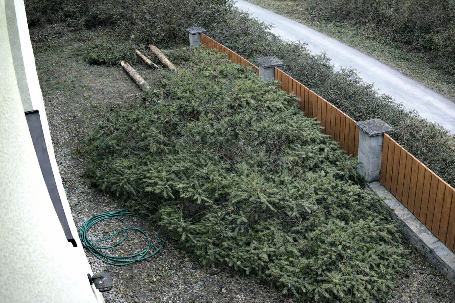 Presné uloženie časti stromu medzi plot a fasádu domu počas výrubu